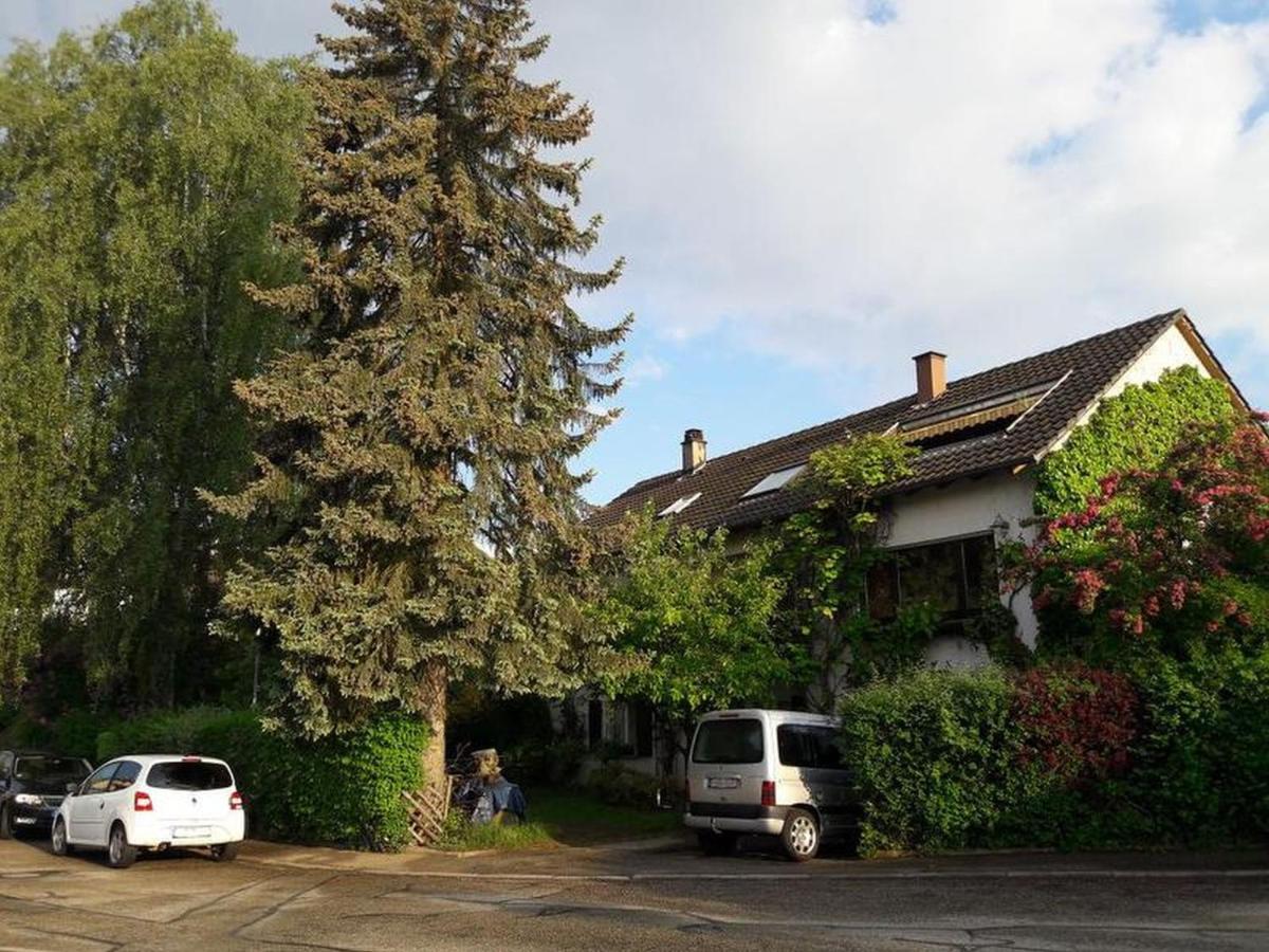 Haus Zur Bienenweide Apartment เชิมแบร์ก ภายนอก รูปภาพ