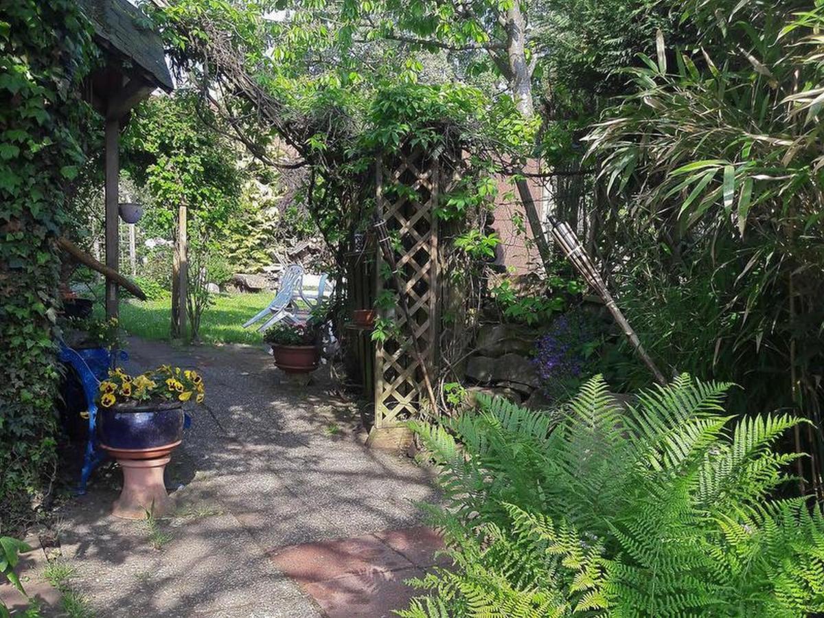 Haus Zur Bienenweide Apartment เชิมแบร์ก ภายนอก รูปภาพ